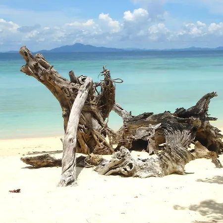 With Sea Views * Sanxenxo