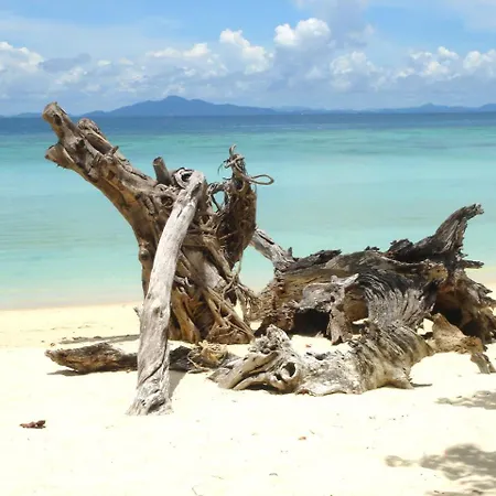 With Sea Views Lejlighed